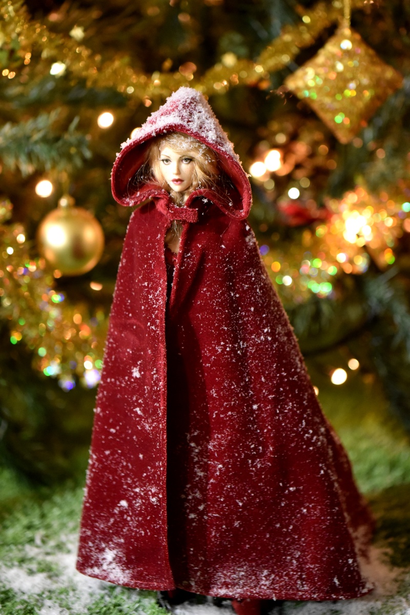 Ball Jointed Doll Lady Hooded